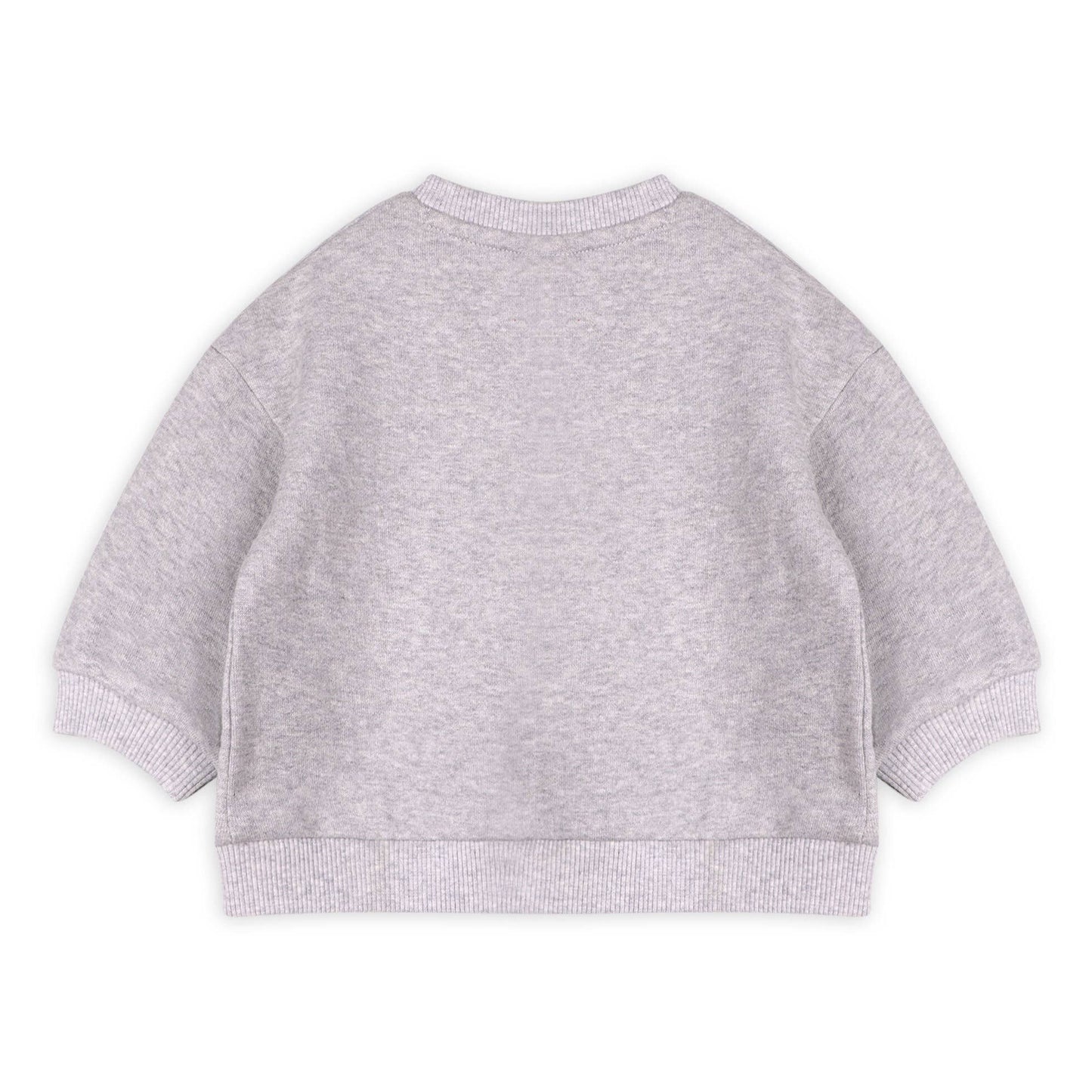 Dino Baby Sweatshirt & Jogger Set (Organic Cotton)