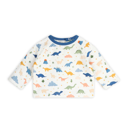 Dino Baby Tee & Jogger (Organic Jersey)