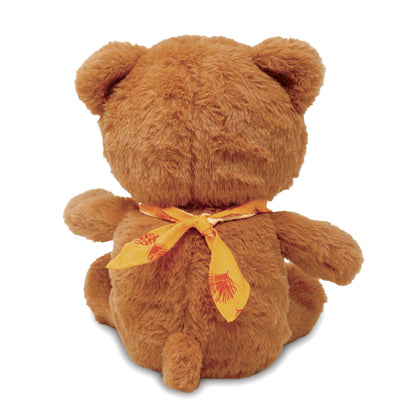 Guess Hoo Bernie (Soft Guessing Game Playing Bear Plush Toy)