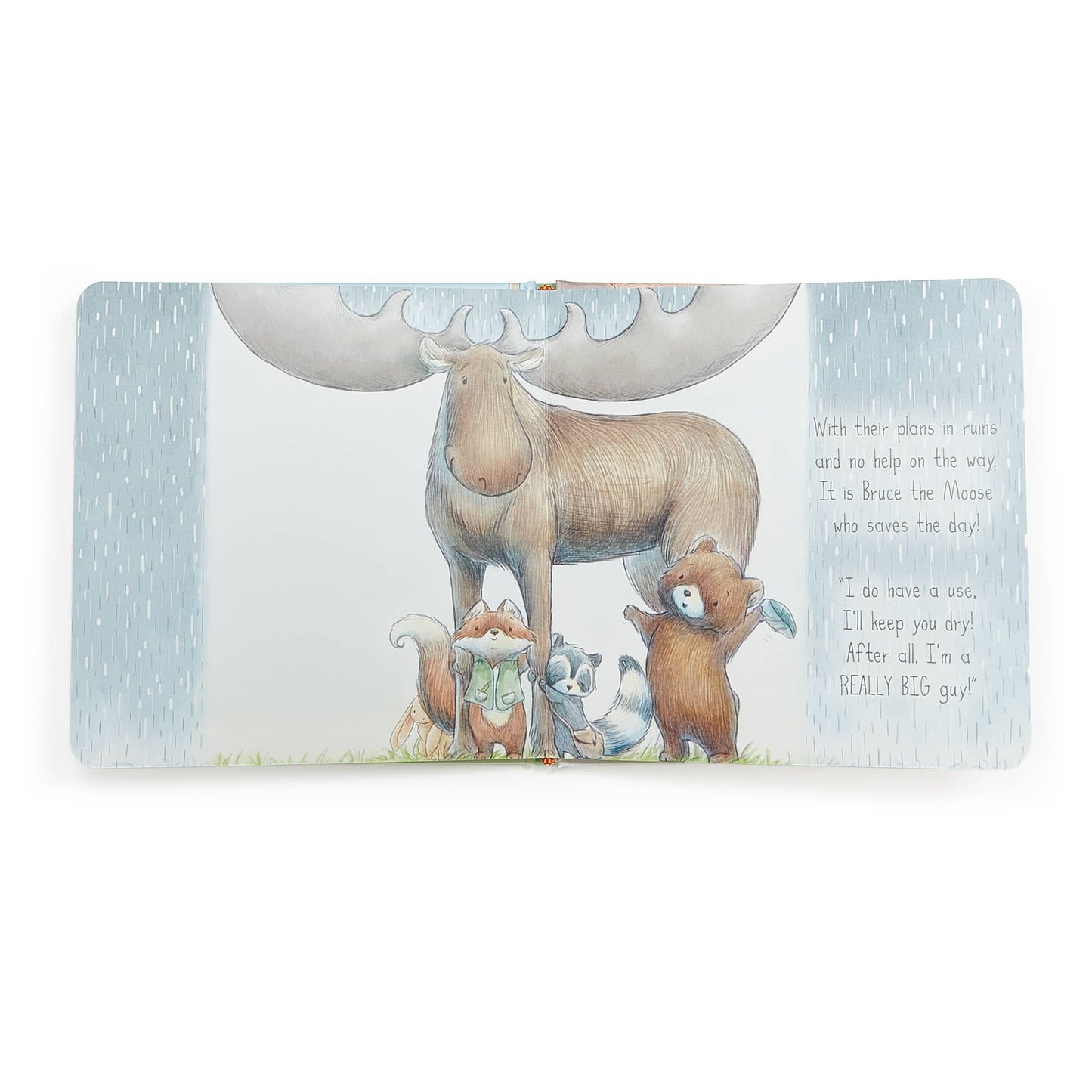 Camp Cricket Board Book