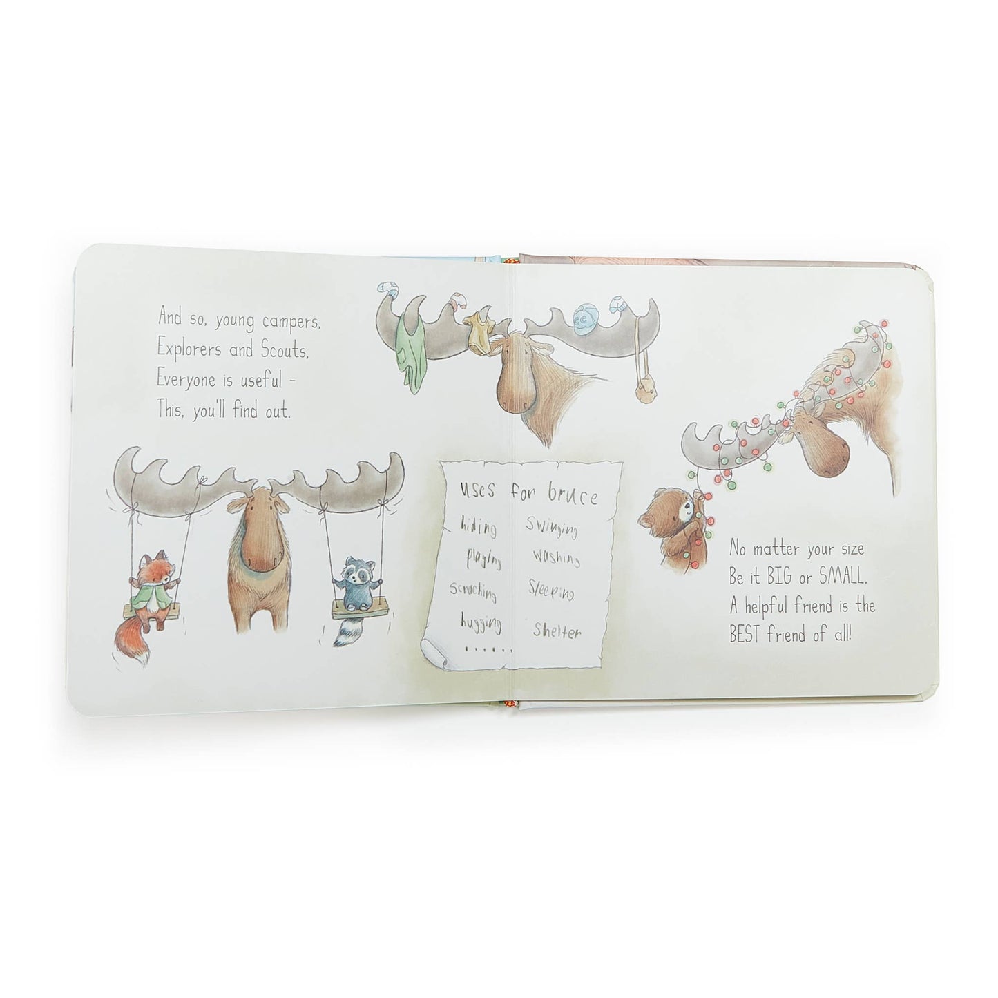 Camp Cricket Board Book