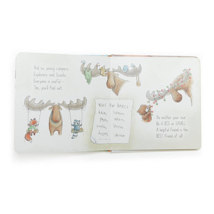 Camp Cricket Board Book