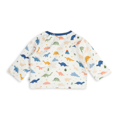 Dino Baby Tee & Jogger (Organic Jersey)