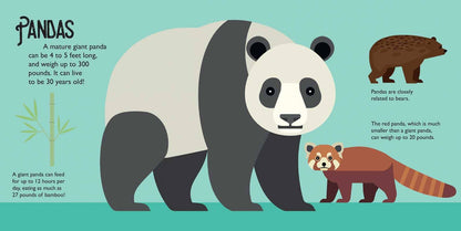 Panoramic Pop-Ups: Wild Animals by Editors of Silver Dolphin Books