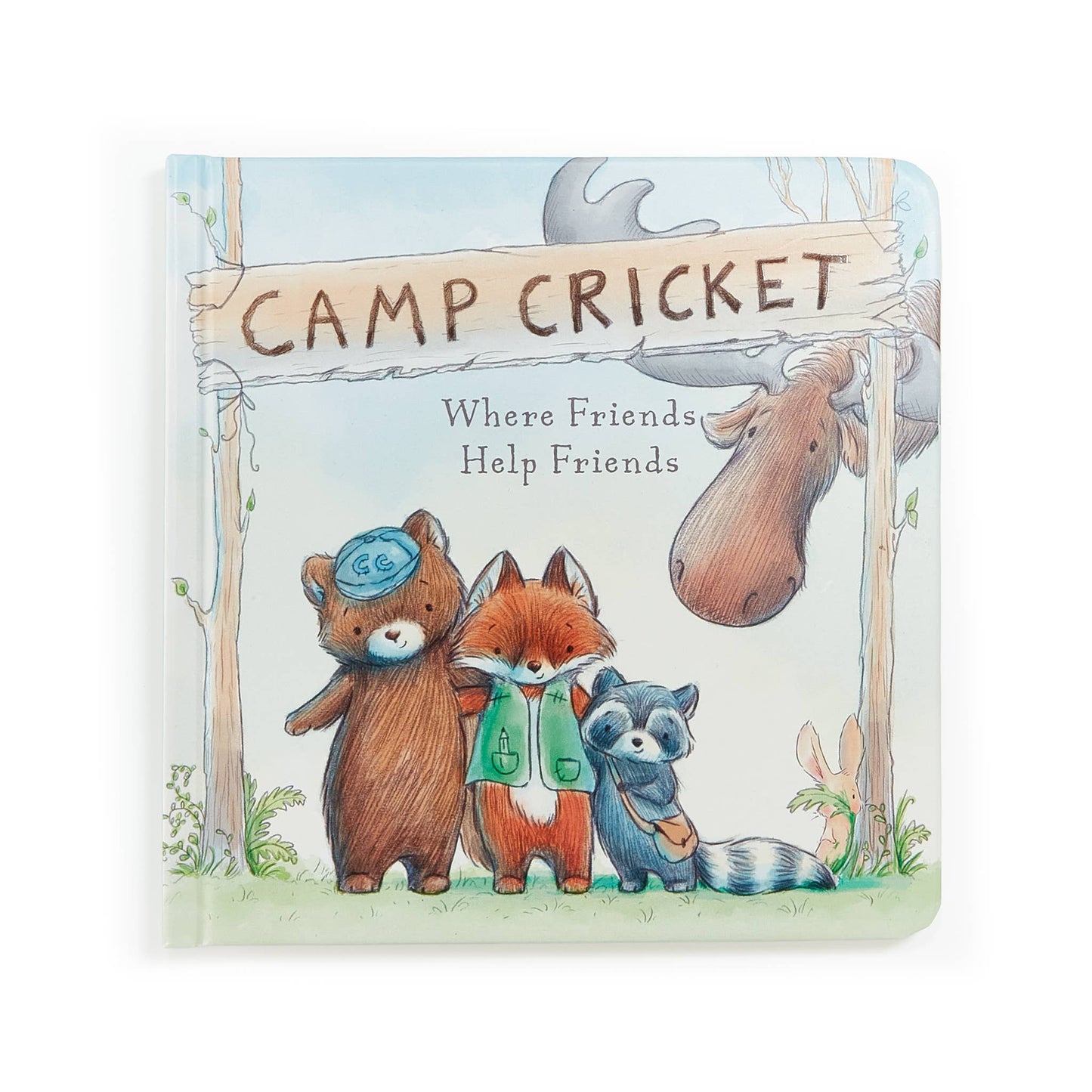 Camp Cricket Board Book