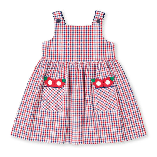 Florence Eiseman Plaid Seersucker Dress With Flowers