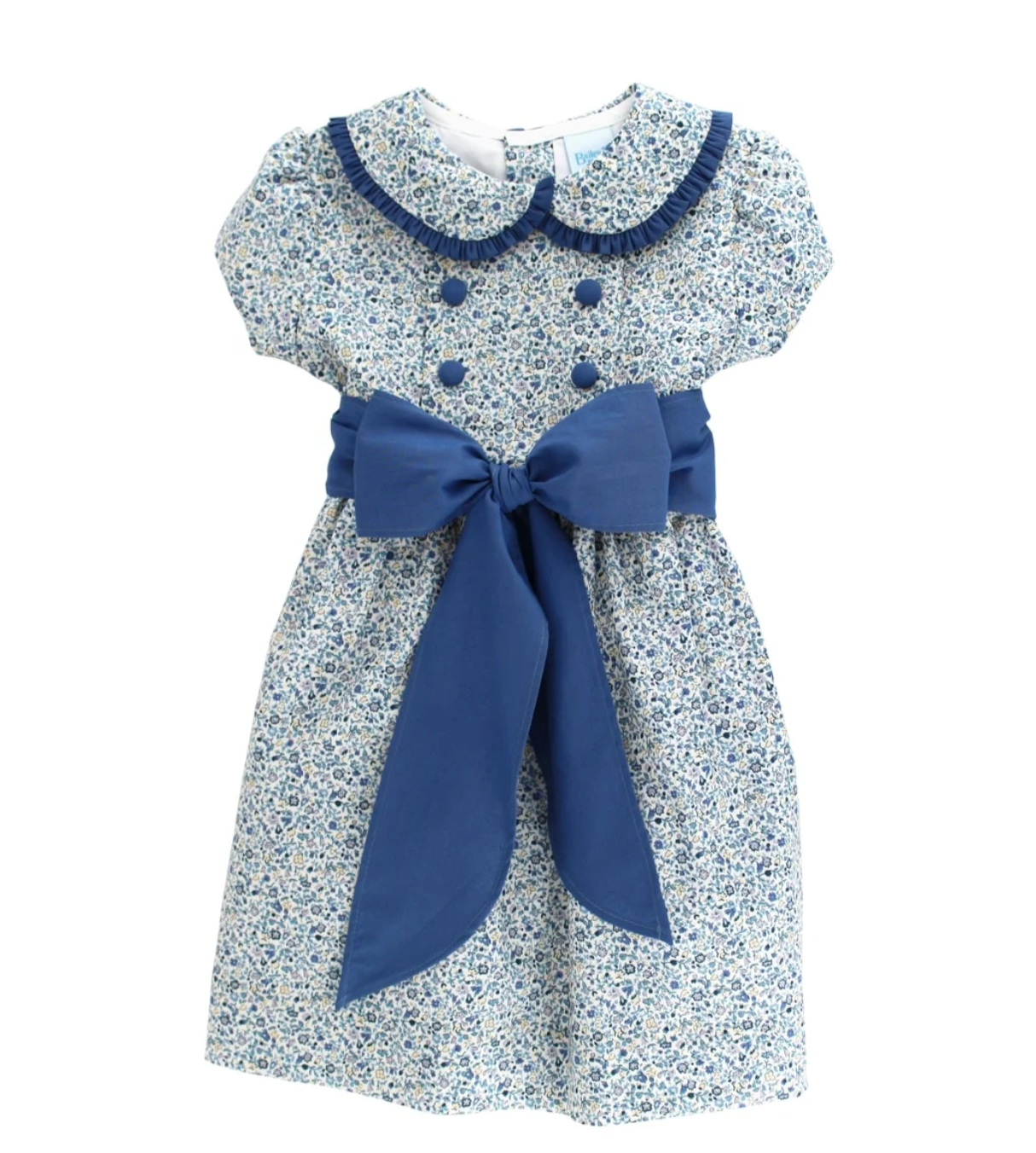 Bailey Boys Posh Posies with Cornflower - Dress