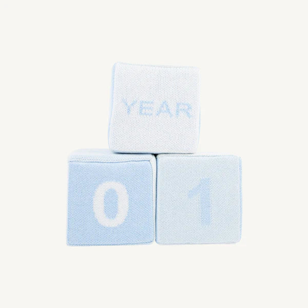 The Beaufort Bonnet Company Blaylock baby milestone blocks blue
