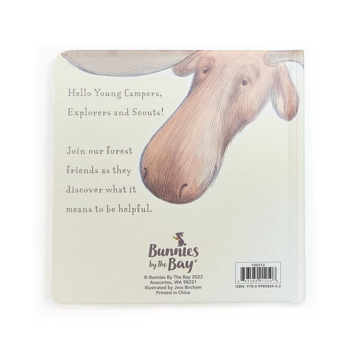 Camp Cricket Board Book