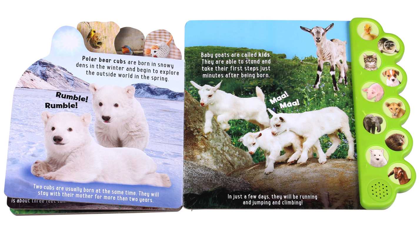 Discovery: Noisy Baby Animals! by Thea Feldman