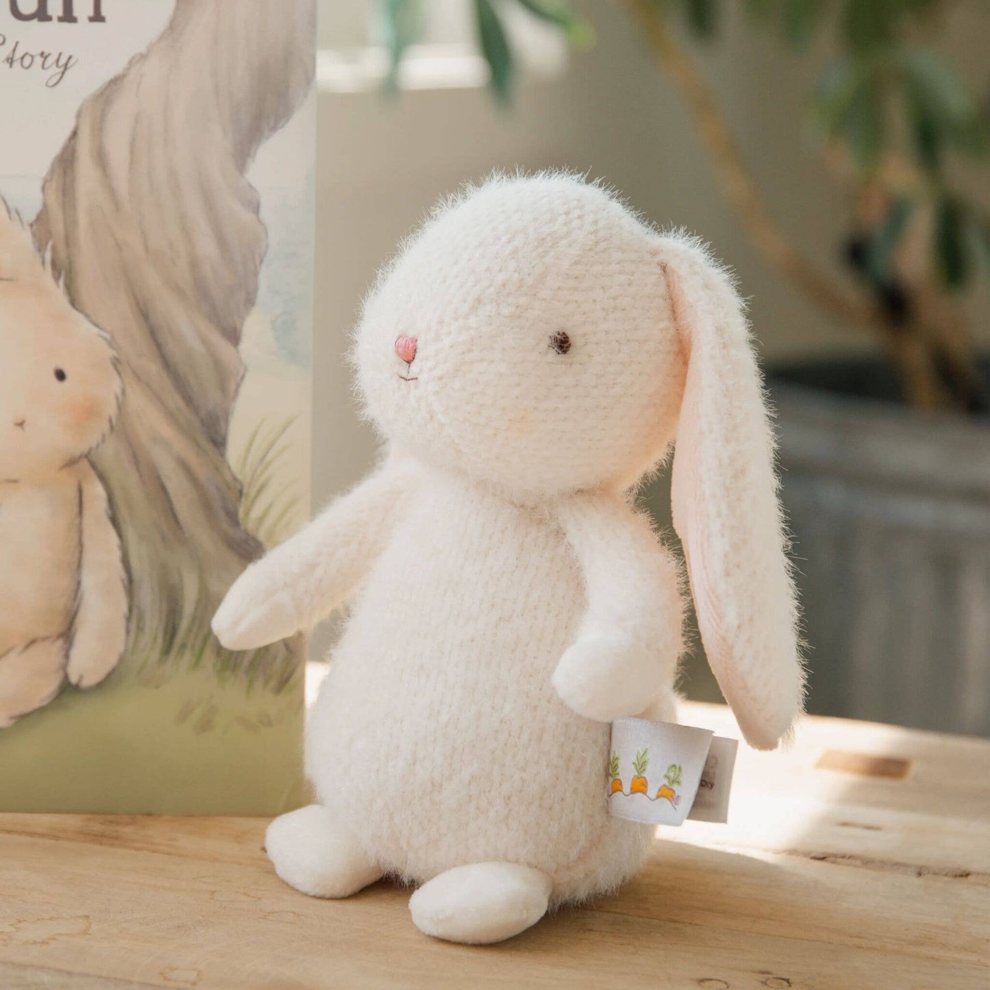 Baby Bun Bun Bunny